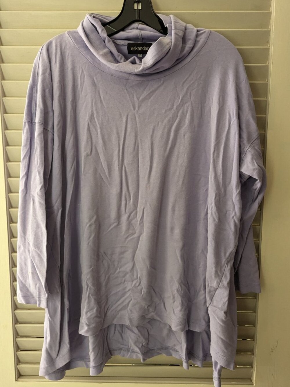 Eskandar turtleneck top